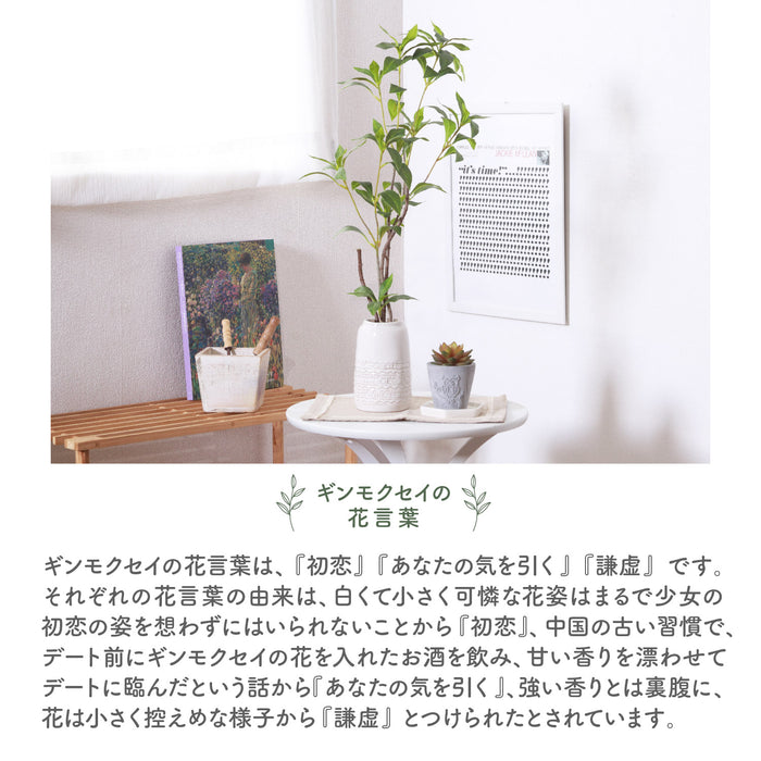 ホワイトポットが相性抜群!置き型タイプフェイクグリーン【ギンモクセイ】:送料無料