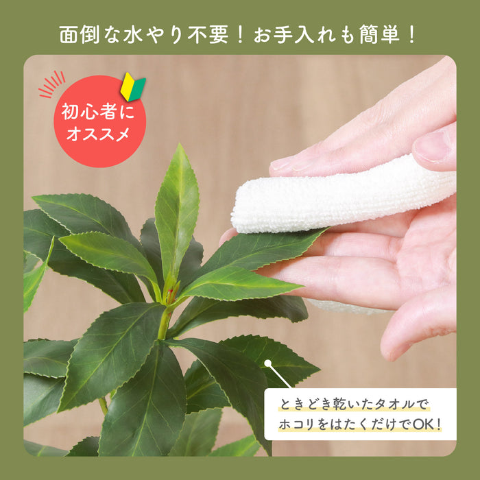 ホワイトポットが相性抜群!置き型タイプフェイクグリーン【ギンモクセイ】:送料無料