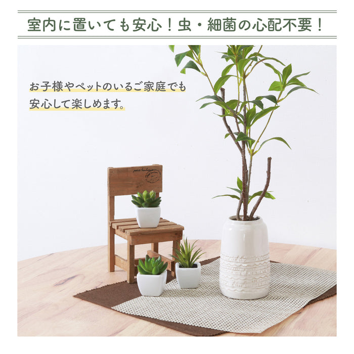 ホワイトポットが相性抜群!置き型タイプフェイクグリーン【ギンモクセイ】:送料無料