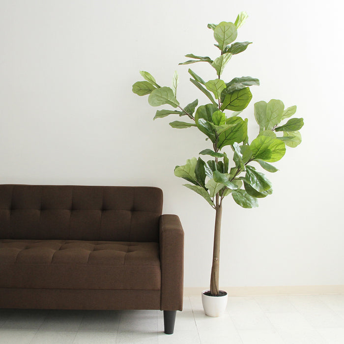室内をおしゃれにする鉢植えタイプフェイクグリーン フィカスカシワバゴム:送料無料