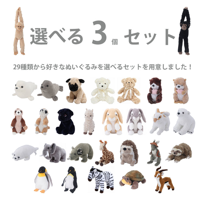 【詳細内容】セット販売商品