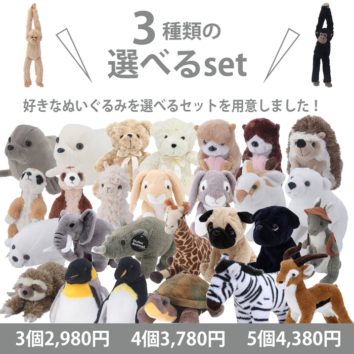 好きなぬいぐるみを選べるセット!:送料無料