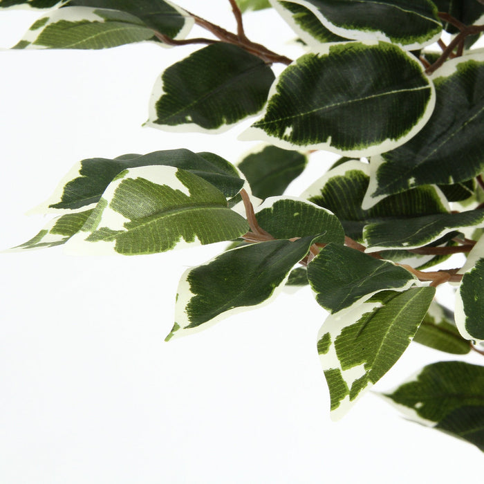 室内をおしゃれにする鉢植えタイプフェイクグリーン フィカス スリム（withホワイト）：送料無料