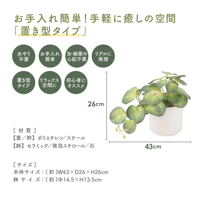 ホワイトポットが相性抜群！置き型タイプフェイクグリーン【シンゴニウム】：送料無料