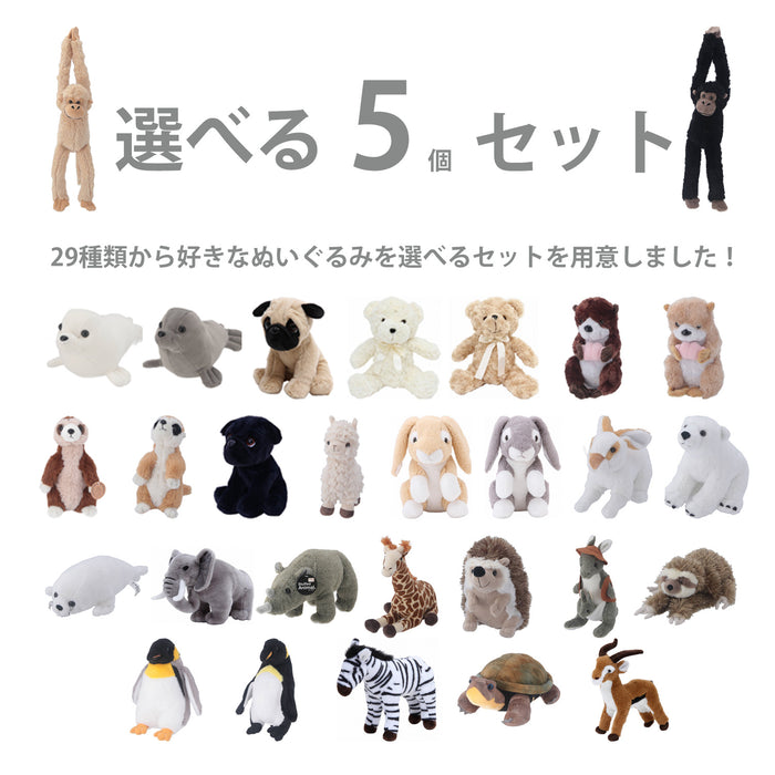 【詳細内容】セット販売商品