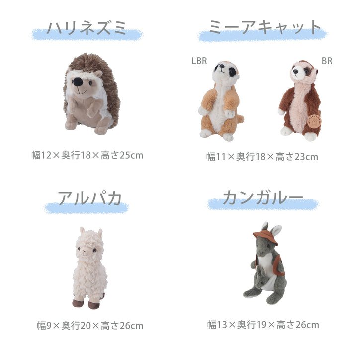好きなぬいぐるみを選べるセット！：送料無料